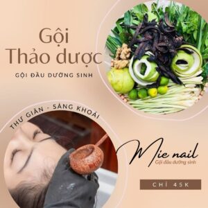 mienail gò vấp - gội thảo dược