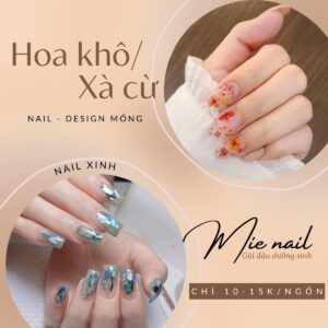 nail hoa khô, xà cừ