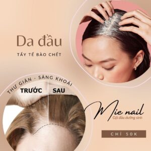 mienail gò vấp - ttbc da đầu